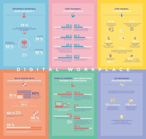 La transformation numérique : quelle perception ? | Transformation Digitale | Scoop.it