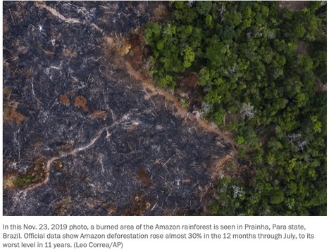 Amazon Rainforest: 'Today, we stand exactly in a moment of destiny: The tipping point is here, it is now.' | 100 Seconds to Midnight - Threats to human civilization… (Under 100 Seconds in 2021?) | Scoop.it