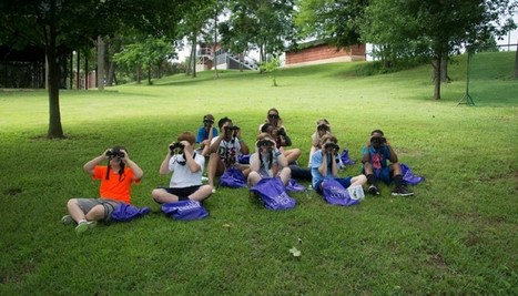 Starting a Bird Club? | Rainforest CLASSROOM | Scoop.it