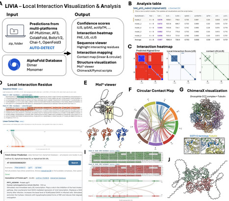 LIVIA: a browser-based tool for assessing and visualizing predicted protein interactions | brvbi | RMH | Scoop.it
