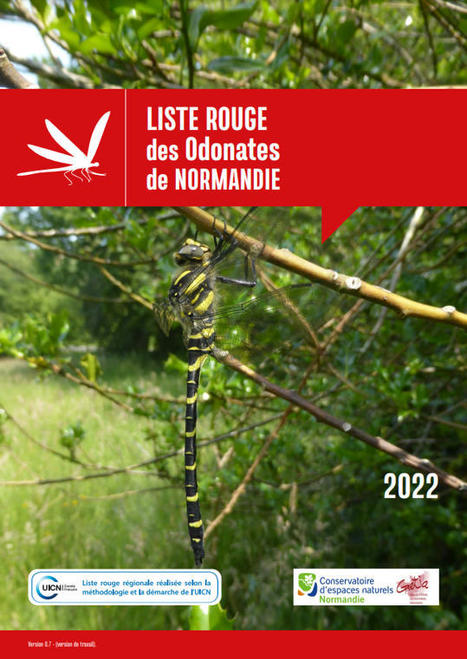 La Liste rouge des Odonates de Normandie vient d'être publiée et ce sont 13% des espèces de libellules et demoiselles présentes sur le territoire normand qui sont menacées | EntomoNews | Scoop.it