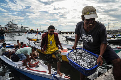 Healthy oceans are a human right (commentary) - Mongabay | Operation Deimos | Scoop.it