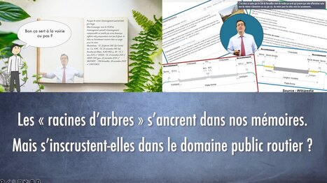 Les &laquo; racines d&rsquo;arbres &raquo; s&rsquo;ancrent dans nos m&eacute;moires. Mais s&rsquo;inscrustent-elles dans le domaine public routier ? [VIDEO et article] | Urbanisme - Am&eacute;nagement - SIG | Scoop.it