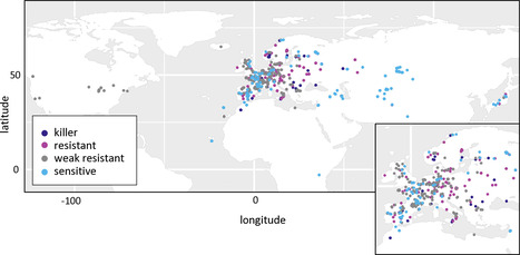 Identification of novel genes responsible for a pollen killer present in local natural populations of Arabidopsis thaliana (IJPB, SPS) | Plant Sciences | Scoop.it