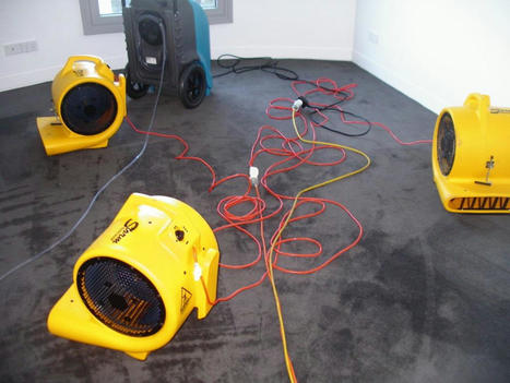 What You Need to Know to Begin Water Damage Carpet Restoration | Capitalrestoration Cleaning | Scoop.it