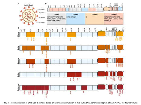Review of Current Insights into the Virulence Factors of SARS-CoV-2 | Virus World | Scoop.it