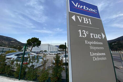 Fissures, d&eacute;formation des murs, effondrements&nbsp;: quels sont les risques li&eacute;s au retrait-gonflement des sols argileux dans le Var et les Alpes-Maritimes&nbsp;? | Regards crois&eacute;s sur la transition &eacute;cologique | Scoop.it