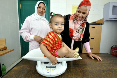 Unhealthy habits fuel MALNUTRITION crisis among EGYPTIAN adolescents, study finds | CIHEAM Press Review | Scoop.it