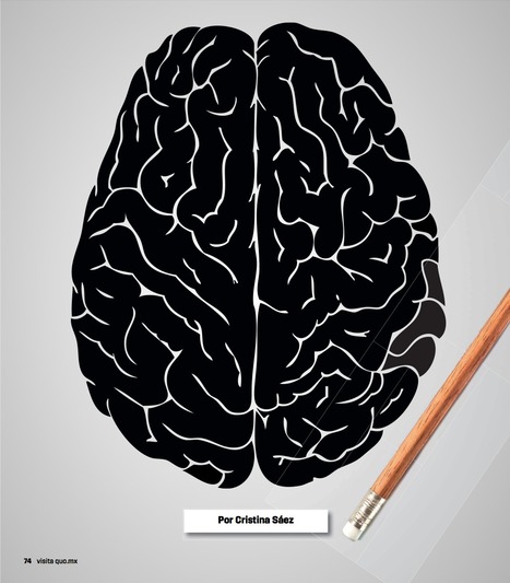Educar con cerebro. NeuroEducación (descarga PDF) | E-Learning, Formación, Aprendizaje y Gestión del Conocimiento con TIC en pequeñas dosis. | Scoop.it