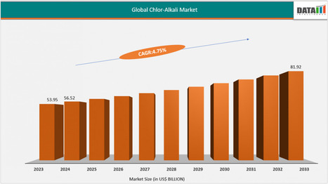 Chlor-Alkali Industry Sector Will Hit US$81.92B by 2032, United States Leading in 2025 - Waste Management & Recycling News Today - EIN Presswire | Industry 411 - Waste Management | Scoop.it