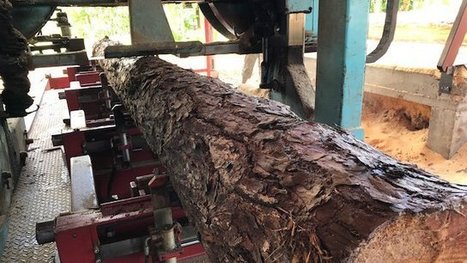 Ce patron de scierie garde la foi pour diffuser de nouvelles techniques de construction de maisons à ossature bois local (wallis et futuna) | Build Green, pour un habitat écologique | Scoop.it