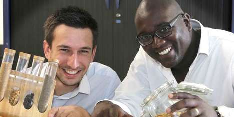 Entomo Farm devrait d&eacute;localiser sa production de farine d&rsquo;insectes de Blanquefort &agrave; Libourne | Start-ups | Success stories | Scoop.it