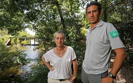 Vidéo. À Léon (40), le barrage de la Nasse menacé, le courant d’Huchet en sursis  | Landes | Scoop.it
