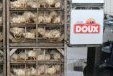Doux: une société iranienne propose de reprendre tous les salariés de Graincourt (62) | La Gazette des abattoirs | Scoop.it