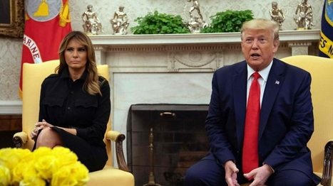 Trump plans ban on sale of flavoured e-cigarettes | Microeconomics: IB Economics | Scoop.it