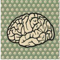 Metacognition And Learning: Strategies For Instructional Design: Instructional Design and eLearning | Education 2.0 & 3.0 | Scoop.it