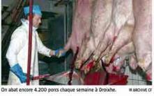 Belgique. L'essai n'aura pas (encore) lieu &agrave; l'abattoir d'Aubel | La Gazette des abattoirs | Scoop.it