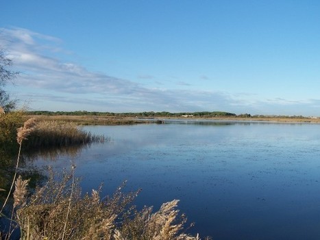 Priorisation des interventions de l’Agence de l’eau sur les zones humides en Languedoc Roussillon | Biodiversité | Scoop.it