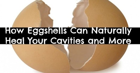 Forget Filling Cavities: Regrow Your Teeth Instead | Health Supreme | Scoop.it