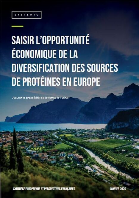 Etude : Saisir l'opportunit&eacute; &eacute;conomique de la diversification des sources de prot&eacute;ines en Europe | ITERG - Veille sectorielle | Scoop.it