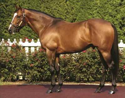 Toccet, Sire to Multiple Graded Stakes Winners, Dies - BloodHorse | Racing News | Scoop.it