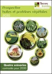Prospective huiles et protéines végétales 2030 - Terres Inovia | Graines de doc | Scoop.it
