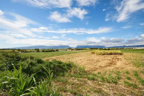 Protocole pour la valorisation des terres excavées en milieu agricole à La Réunion | Veille "Villes de demain" | Scoop.it