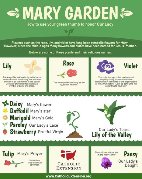 Flowers for Mary, part II | Name News | Scoop.it