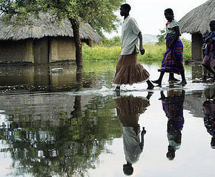 Gender sensitive and climate smart: how, what, why? | Climate Change & DRR in East Africa | Scoop.it