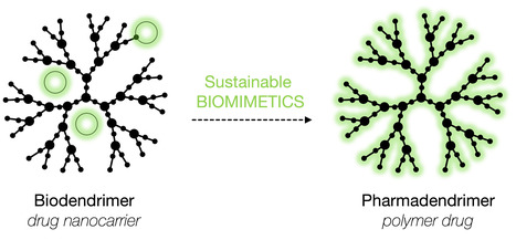 Invited keynote lecture on Sustainable Biomaterials by Prof. Vasco Bonifácio | iBB | Scoop.it