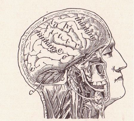 Why It’s Good that the Internet Is Changing Our Brains | The 21st Century | Scoop.it