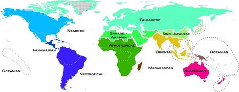 Zoogeographic map of the world | Science News | Scoop.it