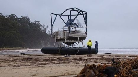 Huon Aquaculture confirms 120,000 salmon escaped in May storms, amid calls for more industry 'transparency' | Coastal Restoration | Scoop.it
