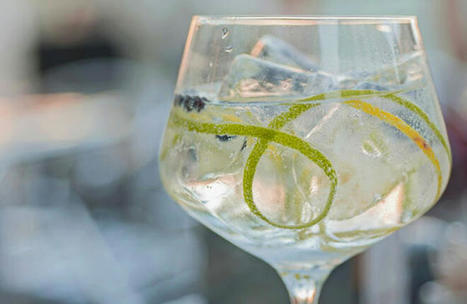 El gin-tonic sigue en boga, aunque sin tanta fruta y especia, y toma impulso el tequila | Todo sobre GinTonics | Scoop.it
