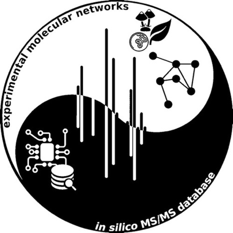 Integration of Molecular Networking and In-Silico MS/MS Fragmentation for Natural Products Dereplication | Natural Products Chemistry Breaking News | Scoop.it
