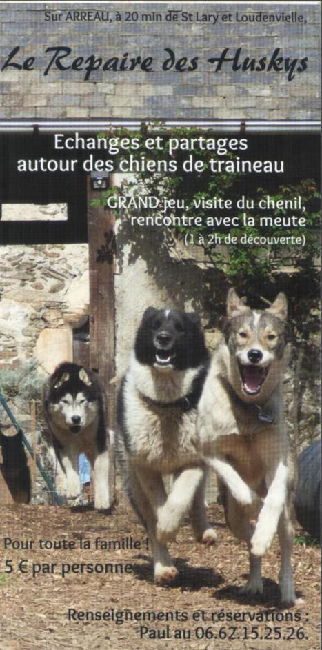 Découvrez l'univers des chiens de traineaux à Arreau  | Vallées d'Aure & Louron - Pyrénées | Scoop.it