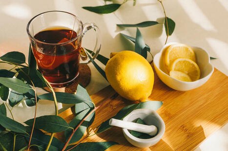 Discover the Health Benefits of Eucalyptus Tea | Call: 915-850-0900 or 915-412-6677 | The Gut "Connections to Health & Disease" | Scoop.it