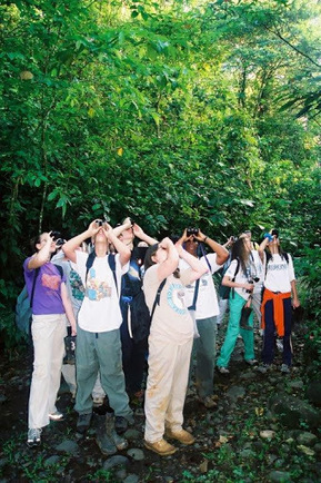 New species of STEM discovered in the Amazon! | Rainforest CLASSROOM | Scoop.it