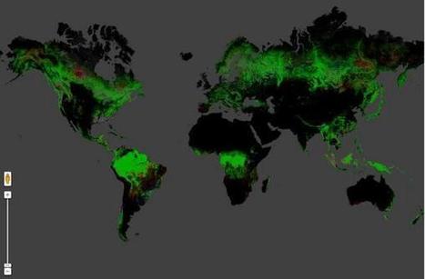 Première mondiale : une carte de l'évolution des forêts du monde mise en ligne | Reforest'Action : le blog | Biodiversité | Scoop.it