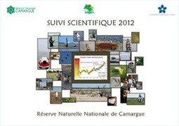 Réserve naturelle nationale de Camargue : Le compte-rendu scientifique de 2012 | Camargue Nature | Scoop.it