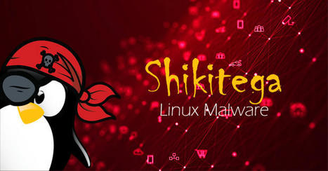 New Stealthy Shikitega Malware Targeting Linux Systems and IoT Devices | Veille #Infrastructure #DCIT-Conseil #Vannes | Scoop.it