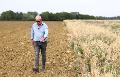 Depuis le Brexit, des paysans anglais sont r&eacute;mun&eacute;r&eacute;s pour s&rsquo;occuper de la nature : &laquo; C&rsquo;est devenu une source de revenus indispensable &raquo; | Revue de presse du Centre de doc | Scoop.it