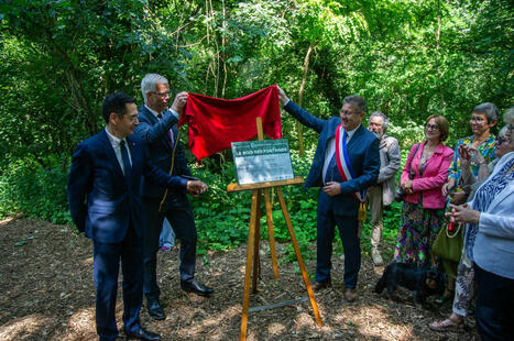 Le Bois des Fontaines : un îlot de fraîcheur à Herblay-sur-Seine | Val-d'Oise : Aménagement et urbanisme | Scoop.it
