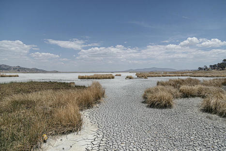 Five ways El Niño is wreaking havoc in South America - The | Coastal Restoration | Scoop.it