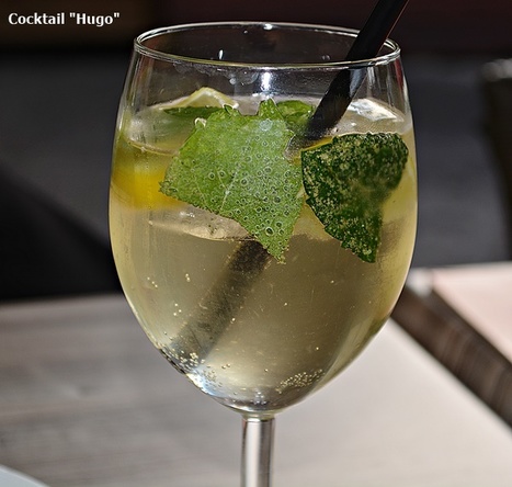 Recettes : Hugo (Cocktail) | Hobby, LifeStyle and much more... (multilingual: EN, FR, DE) | Scoop.it