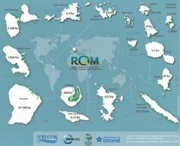 CARNAMA: cartographie nationale des mangroves - Pôle-relais Zones Humides Tropicales | Biodiversité | Scoop.it