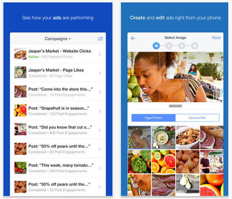 Application #Facebook Ads Manager : une nouvelle appli pour g&eacute;rer ses campagnes ! | Community and Social Media Management | Scoop.it