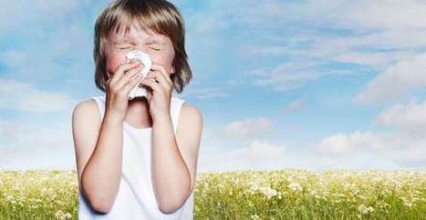 Antistaminici naturali: 10 rimedi alle allergie | Rimedi Naturali | Scoop.it