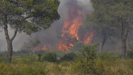 S&eacute;cheresse, vent, fortes chaleurs&hellip; Un cocktail explosif sur le pourtour m&eacute;diterran&eacute;en, six d&eacute;partements en vigilance rouge face au risque d'incendie | Plan&egrave;te DDurable | Scoop.it