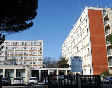Cit&eacute; universitaire Chapou : une dizaine de chambres infest&eacute;es par les punaises de lit - 14/04/2018 | Vari&eacute;t&eacute;s entomologiques | Scoop.it
